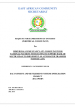 Screenshot 2021-07-07 at 083600 Support to Bank of South Sudan to implement an Automated Transfer System (ATS)